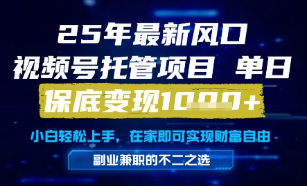 25年最新风口，视频号托管项目，单日保底变现1k+，手把手教学【揭秘】-谷进海小站