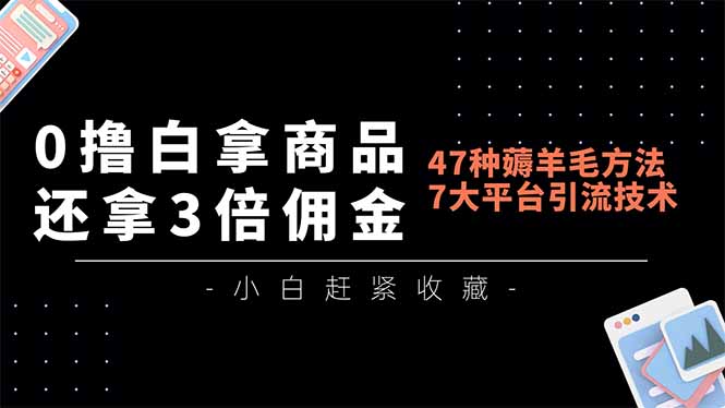 0撸白拿商品，还拿3倍佣金，47种薅羊毛方法，7大平台全方位引流技术教学，精专月入过万-谷进海小站