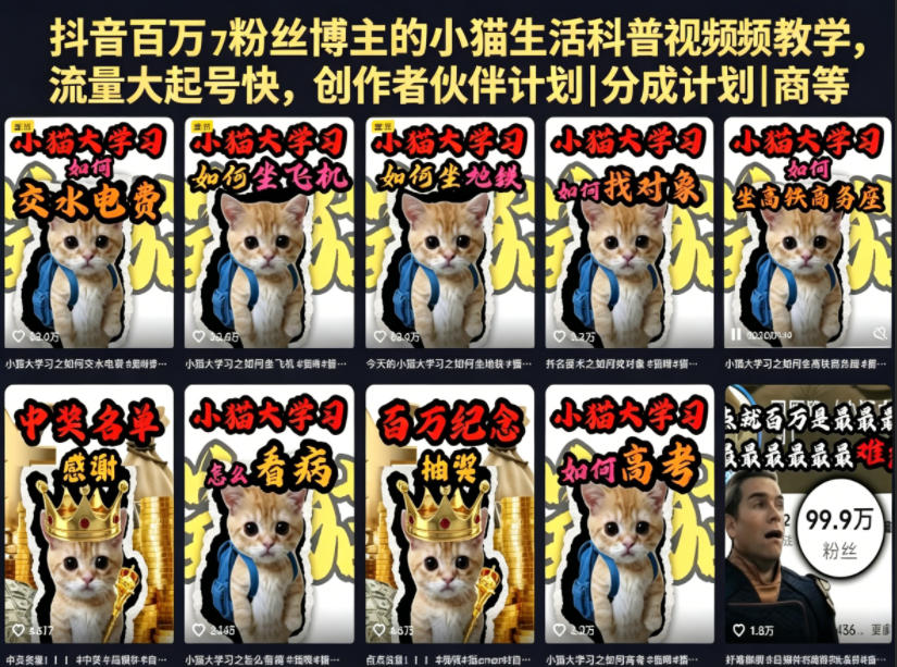 抖音百万粉丝博主的小猫生活科普视频教学，流量大起号快，创作者伙伴计划|分成计划|商单|收徒等-谷进海小站