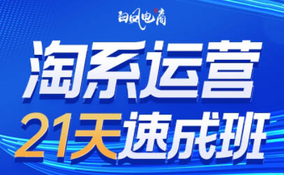 白凤电商·淘系运营21天速成班(更新10月)-谷进海小站
